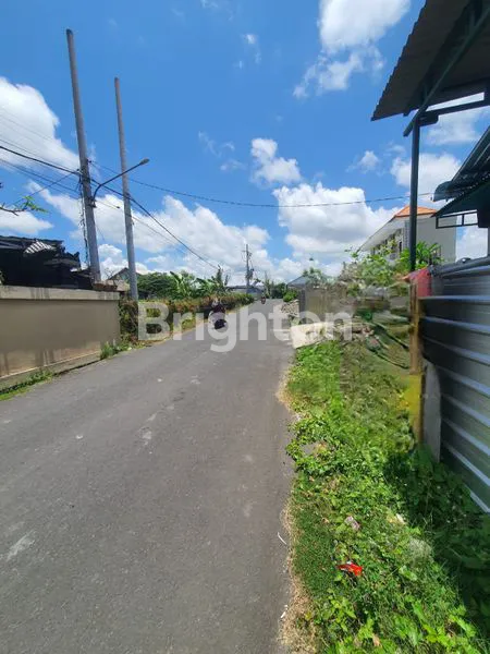 image TANAH LUAS 1.500M² DI UBUNG KAJA, COCOK UNTUK GUDANG/USAHA (3)