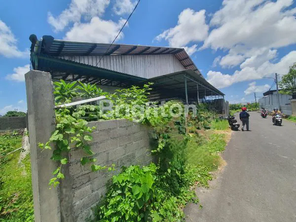 image TANAH LUAS 1.500M² DI UBUNG KAJA, COCOK UNTUK GUDANG/USAHA (1)