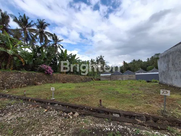 image INVESTASI RUMAH 36/72 HARGA PROMO DI TABANAN (5)