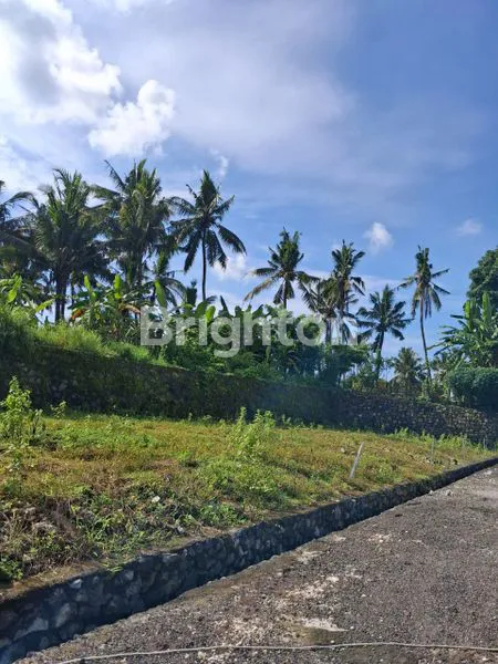 image INVESTASI RUMAH 36/72 HARGA PROMO DI TABANAN (3)