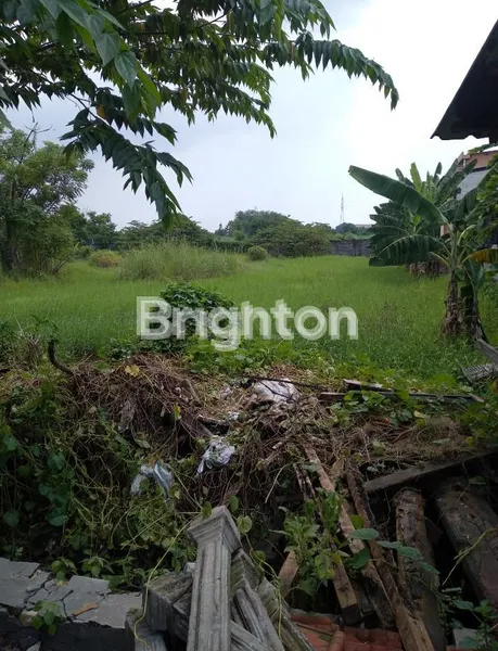 image JUAL TANAH DI DESA ENTAL SEWU (3)