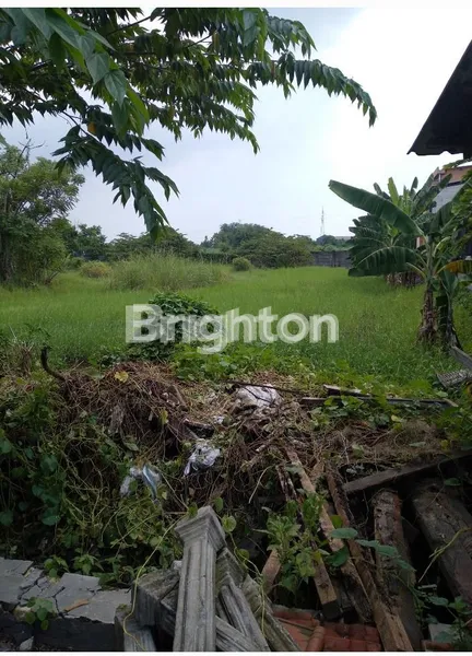 image JUAL TANAH DI DESA ENTAL SEWU (4)