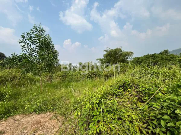 image TANAH LUAS 4 HEKTAR DI BOGOR, SIAP BANGUN VILLA ATAU PERKEBUNAN (2)
