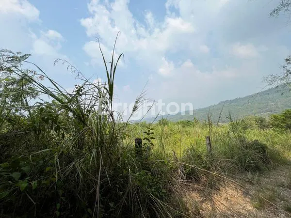 image TANAH LUAS 4 HEKTAR DI BOGOR, SIAP BANGUN VILLA ATAU PERKEBUNAN (1)