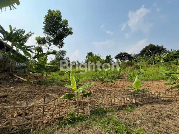 image TANAH LUAS 4 HEKTAR DI BOGOR, SIAP BANGUN VILLA ATAU PERKEBUNAN (5)