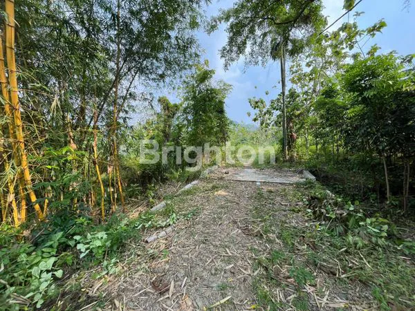 image TANAH LUAS 4 HEKTAR DI BOGOR, SIAP BANGUN VILLA ATAU PERKEBUNAN (7)