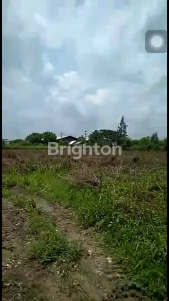 image DIJUAL LAHAN INDUSTRI ZONA III DI WIDANG, TUBAN PRIME INDUSTRIAL LAND | SHM | IDEAL DIMENSION FOR FACTORY/WAREHOUSE (1)