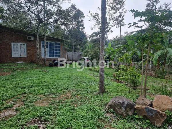 image TANAH STRATEGIS DI TRAWAS, DEKAT DUYUNG HILL & PUNCAK (3)