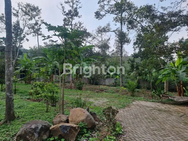 image TANAH STRATEGIS DI TRAWAS, DEKAT DUYUNG HILL & PUNCAK (1)