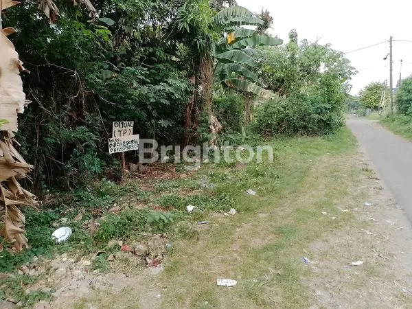 image TANAH STRATEGIS 200M² SHM DI CILEGON DEKAT AQUALAND (5)