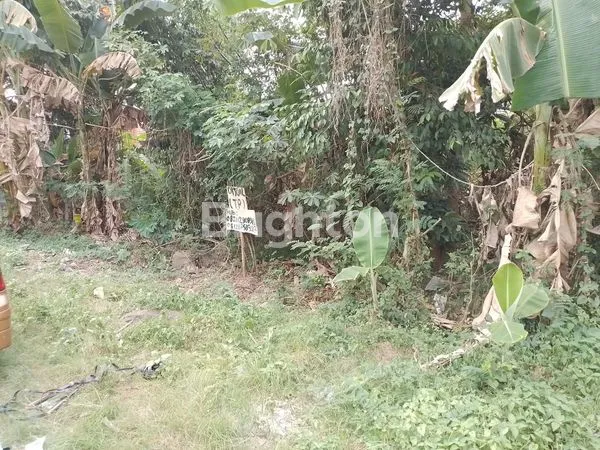 image TANAH STRATEGIS 200M² SHM DI CILEGON DEKAT AQUALAND (3)