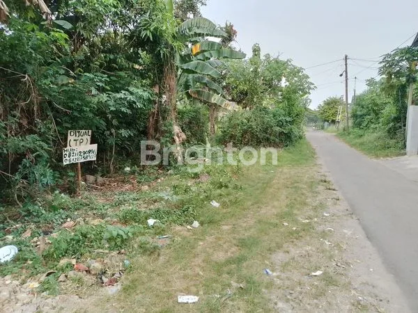 image TANAH STRATEGIS 200M² SHM DI CILEGON DEKAT AQUALAND (4)