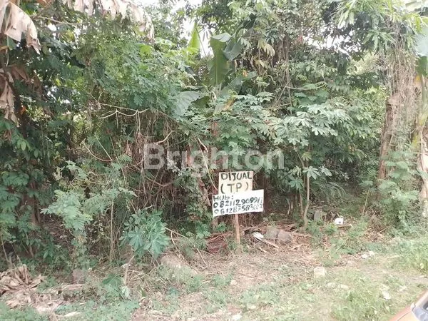 image TANAH STRATEGIS 200M² SHM DI CILEGON DEKAT AQUALAND (2)