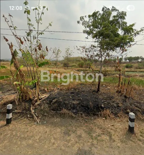 image TANAH MURAH DI CIKAWUNG  INDRAMAYU (3)