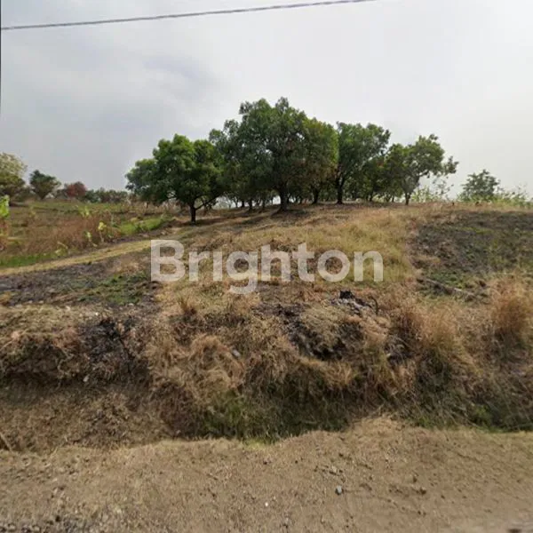 image TANAH MURAH DI CIKAWUNG  INDRAMAYU (1)