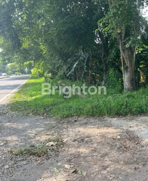 image EX PABRIK ES DI INDRAMAYU BUTUH UANG (8)