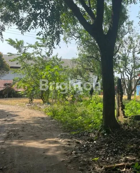 image EX PABRIK ES DI INDRAMAYU BUTUH UANG (7)