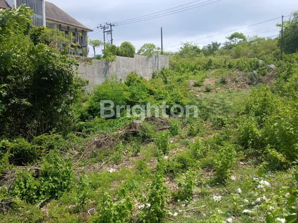 image HIDDEN GEM LAND DI BADUNG SELATAN | 16 ARE HARGA RASIONAL (1)