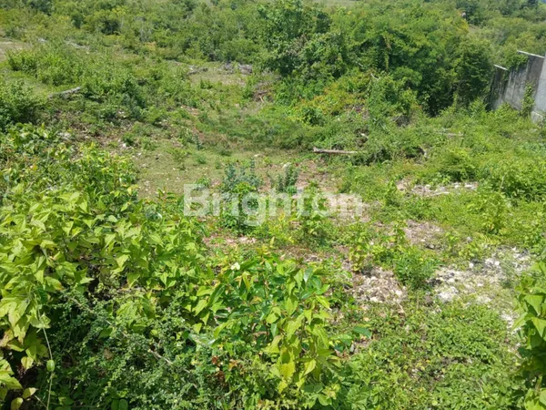 image HIDDEN GEM LAND DI BADUNG SELATAN | 16 ARE HARGA RASIONAL (2)