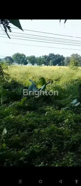 image TANAH STRATEGIS 18.000 M² DI BEKASI, COCOK UNTUK RUKO/GUDANG (7)