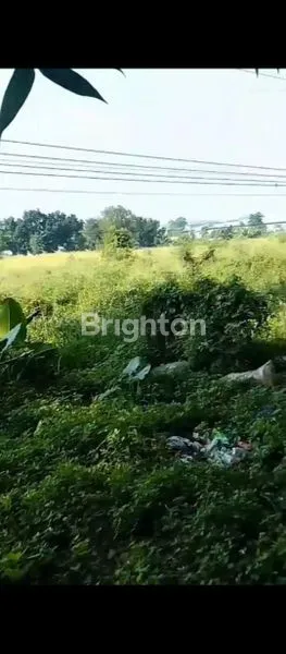 image TANAH STRATEGIS 18.000 M² DI BEKASI, COCOK UNTUK RUKO/GUDANG (8)