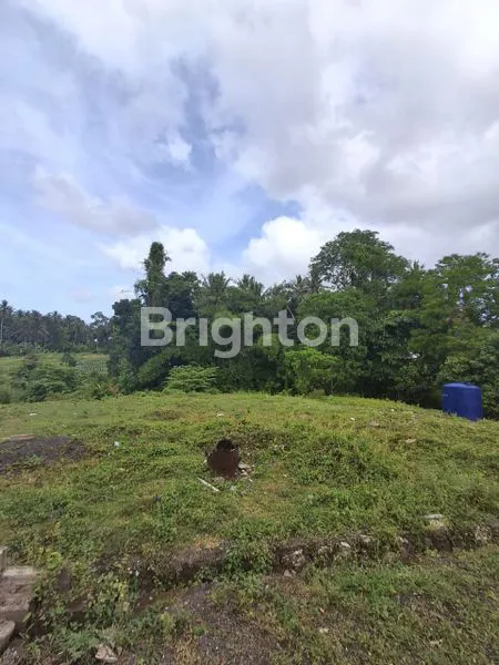 image INVESTASI TANAH DI TABANAN, LOKASI NYAMAN & AKSES MUDAH (3)