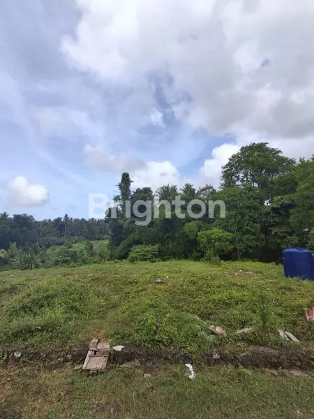image INVESTASI TANAH DI TABANAN, LOKASI NYAMAN & AKSES MUDAH (2)