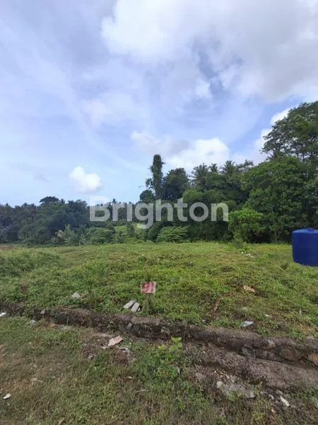 image INVESTASI TANAH DI TABANAN, LOKASI NYAMAN & AKSES MUDAH (1)