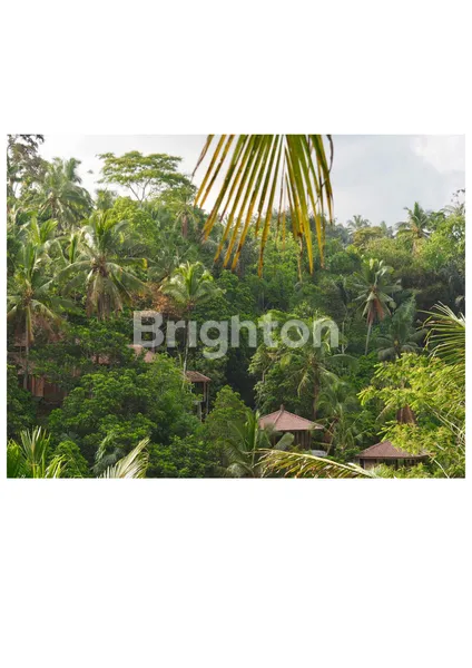 image FREEHOLD ULTRA-LUXURY ESTATE — UBUD (4)