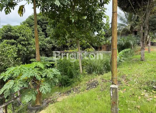 image INVESTASI TANAH LUAS 1300M² DI JALAN POROS LOA JANAN - TENGGARONG (2)