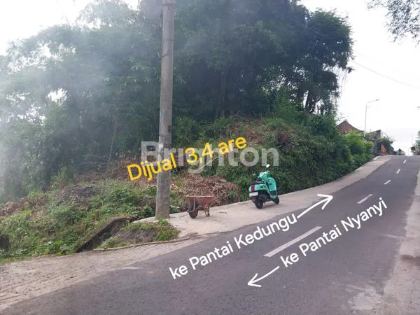 image TANAH DIJUAL ( FREEHOLD ) 15 MNT BERMOTOR KE  PANTAI KEDUNGU , PANTAI NYANYI DAN TANAH LOT . (2)