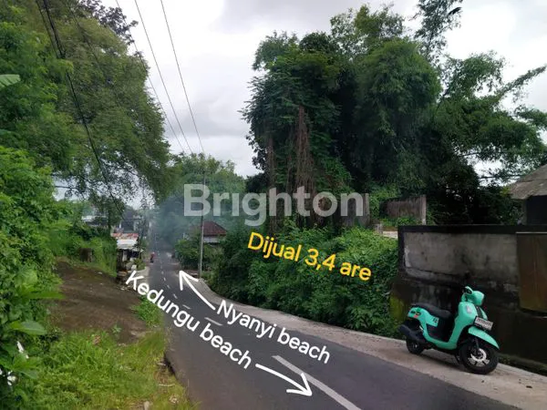 image TANAH DIJUAL ( FREEHOLD ) 15 MNT BERMOTOR KE  PANTAI KEDUNGU , PANTAI NYANYI DAN TANAH LOT . (3)