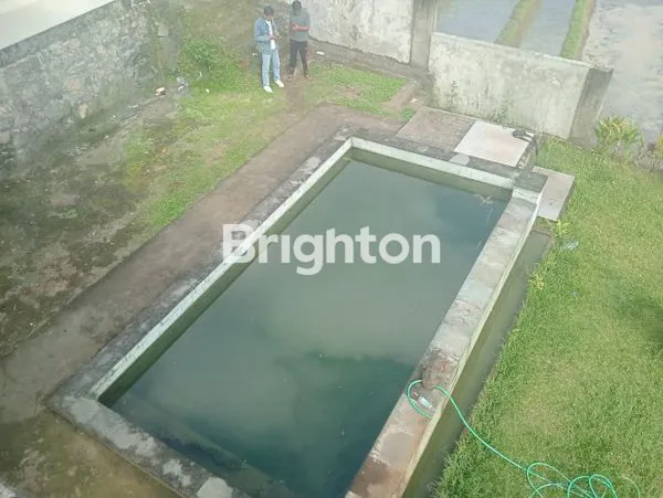 image \UD83C\UDF3F DIJUAL TANAH 1.012 M² BONUS RUMAH | VIEW LERENG GUNUNG | PENEBEL – TABANAN \UD83C\UDF04 (6)