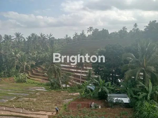 image \UD83C\UDF3F DIJUAL TANAH 1.012 M² BONUS RUMAH | VIEW LERENG GUNUNG | PENEBEL – TABANAN \UD83C\UDF04 (5)