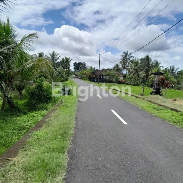 image \UD83C\UDF3F DIJUAL TANAH 1.012 M² BONUS RUMAH | VIEW LERENG GUNUNG | PENEBEL – TABANAN \UD83C\UDF04 (3)