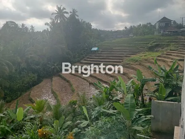 image \UD83C\UDF3F DIJUAL TANAH 1.012 M² BONUS RUMAH | VIEW LERENG GUNUNG | PENEBEL – TABANAN \UD83C\UDF04 (4)