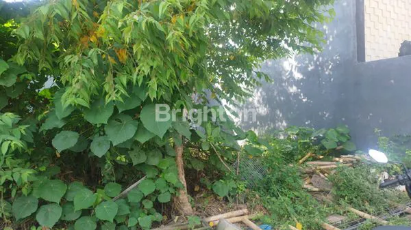 image DIJUAL TANAH 101 M DI TUKAD PAKERISAN COCOK UNTUK RUMAH PRIBADI ATAU KOST  INVESTASI DI DENPASAR (5)