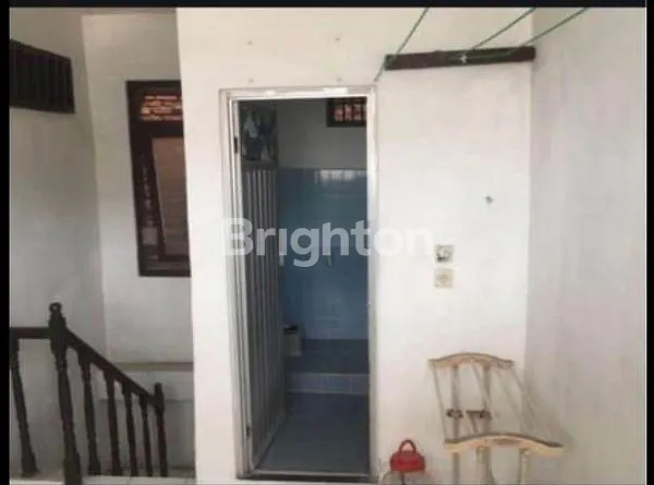 image CEMPAKA PUTIH (8)