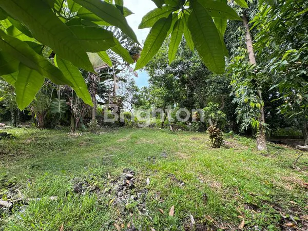 image DIJUAL TANAH STRATEGIS – PADONAN CANGGU, TIBUBENENG,  (2)