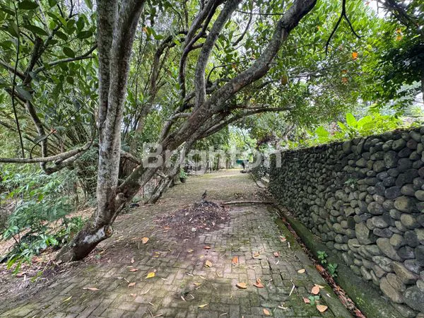 image DIJUAL TANAH STRATEGIS – PADONAN CANGGU, TIBUBENENG,  (4)