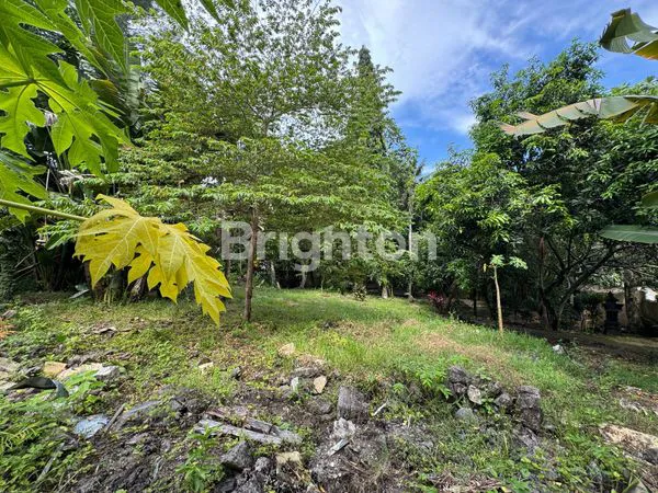 image DIJUAL TANAH STRATEGIS – PADONAN CANGGU, TIBUBENENG,  (5)