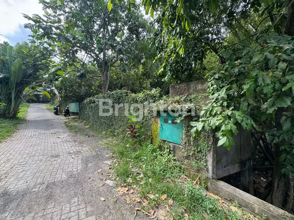 image DIJUAL TANAH STRATEGIS – PADONAN CANGGU, TIBUBENENG,  (6)