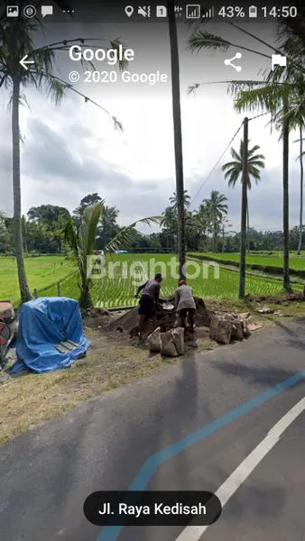 image EXCLUSIVE LAND FOR SALE – TEGALALANG, KEDISAN, GIANYAR (2)