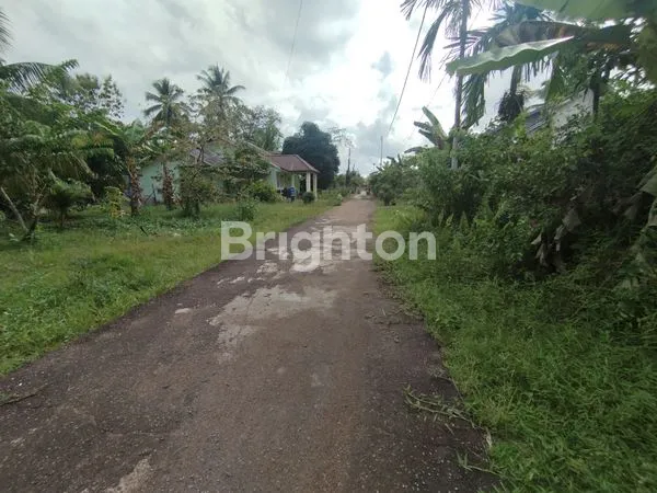 image LAHAN ASRI DI AREA BERKEMBANG, DEKAT FASILITAS KOTA (2)