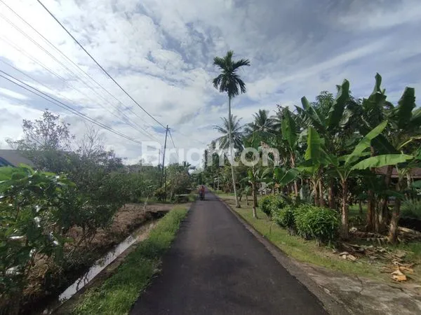 image LAHAN ASRI DI AREA BERKEMBANG, DEKAT FASILITAS KOTA (8)