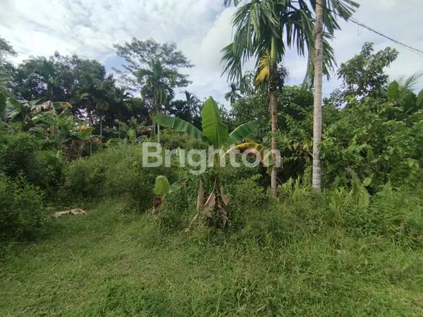 image LAHAN ASRI DI AREA BERKEMBANG, DEKAT FASILITAS KOTA (5)