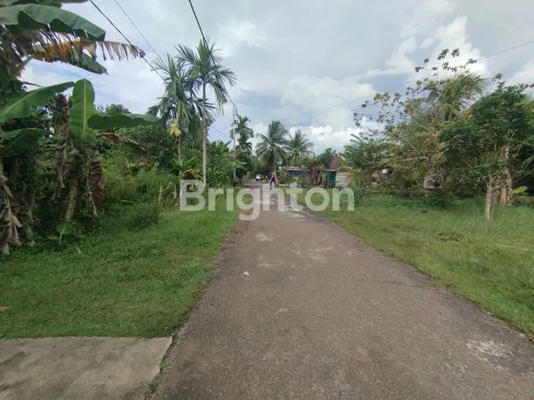 image LAHAN ASRI DI AREA BERKEMBANG, DEKAT FASILITAS KOTA (7)