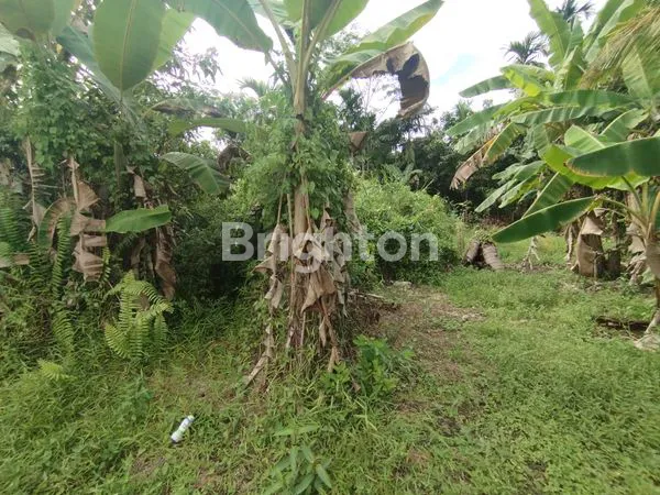 image LAHAN ASRI DI AREA BERKEMBANG, DEKAT FASILITAS KOTA (6)