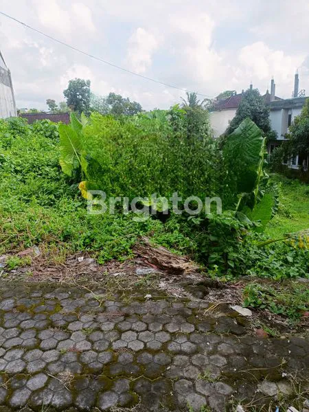 image TANAH  9  ARE. BISA  BESMENT . BYPASS. (3)