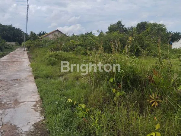 image TANAH STRATEGIS 2 KAVLING 400M2 KUALA 2 AREA KOTA (6)